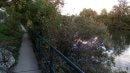 Bord de Seine à Chatou